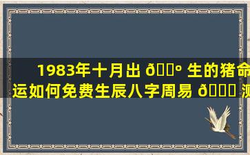 1983年十月出 🐺 生的猪命运如何免费生辰八字周易 🐝 测算入口